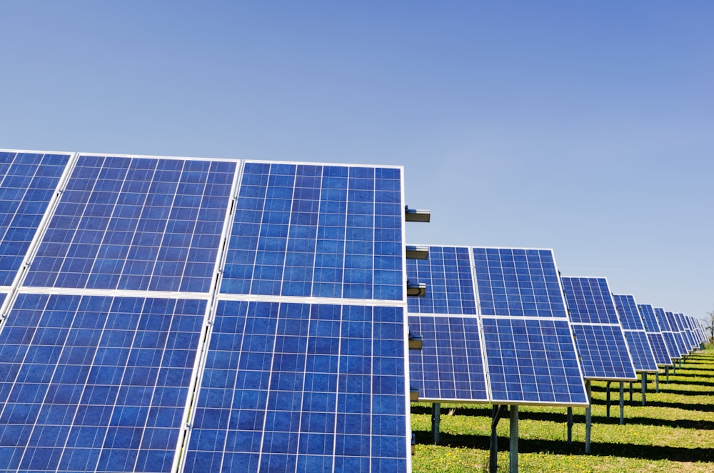 A long row of blue solar panels under a clear sky